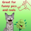 My Name is Bud Jr, Funny Catnip Weed Nug Cat Toy, Cute Stuffed Parody Pot Nug, Cool Plush 420 Novelty Gift for Cats, Kittens & Their Owners
