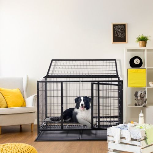 42 Inch Square Tube Wire Dog Cage 42 Inch Square Tube Wire Dog Cage